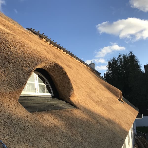 Et stråtag med vidue